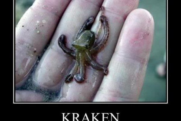 Kraken зеркала kr2web in