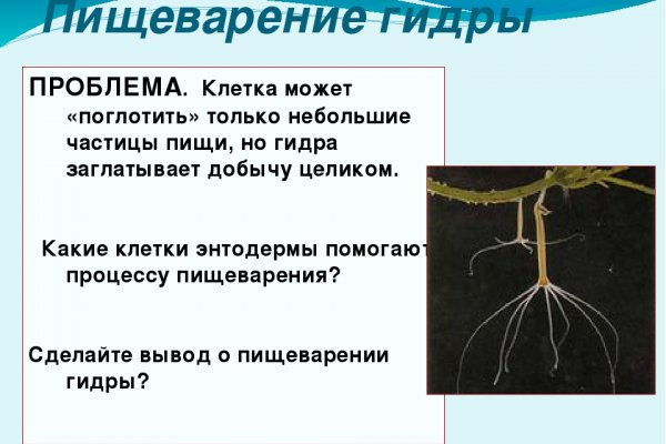 Как найти официальный сайт кракен