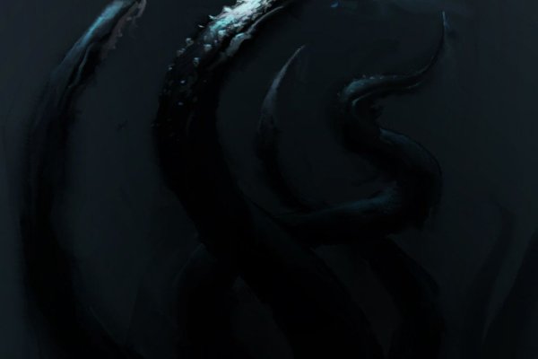 Kraken 12