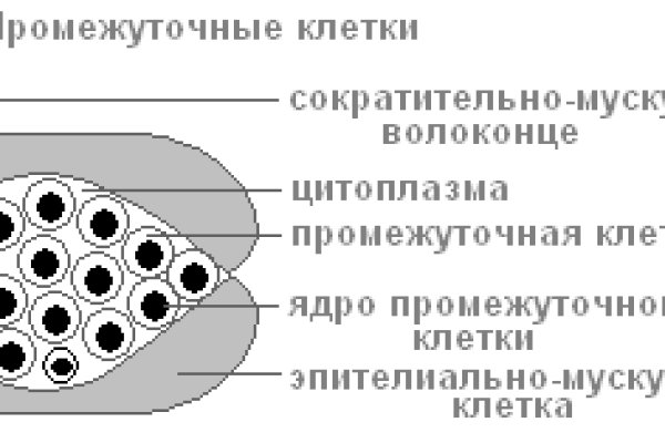 Kraken darknet kraken darknet 2n com