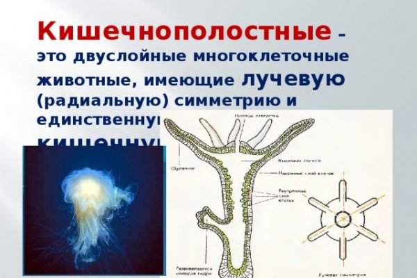 Зеркало гидры тор браузер