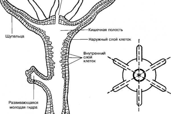 Магазины наркотиков