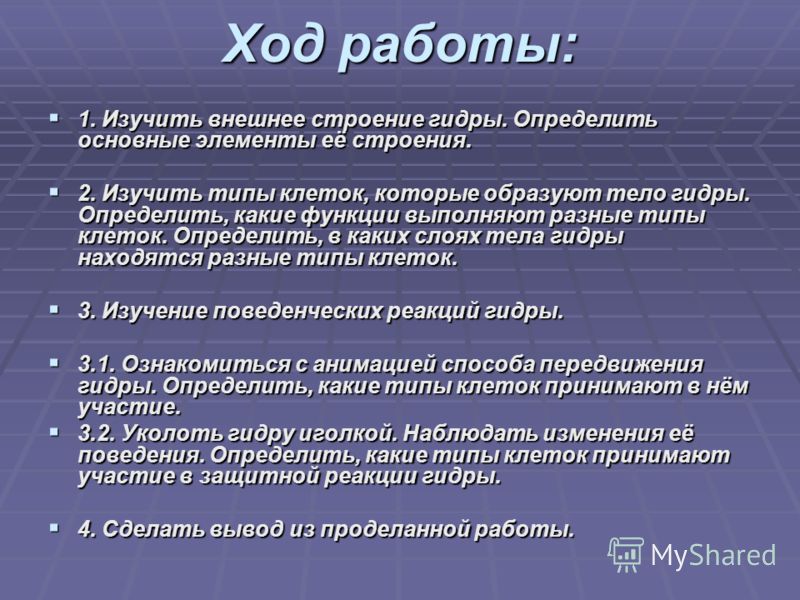 Гидра tor link
